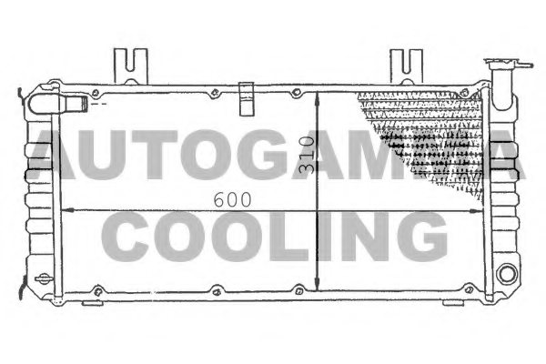 AUTOGAMMA 100428 Radiator, engine cooling